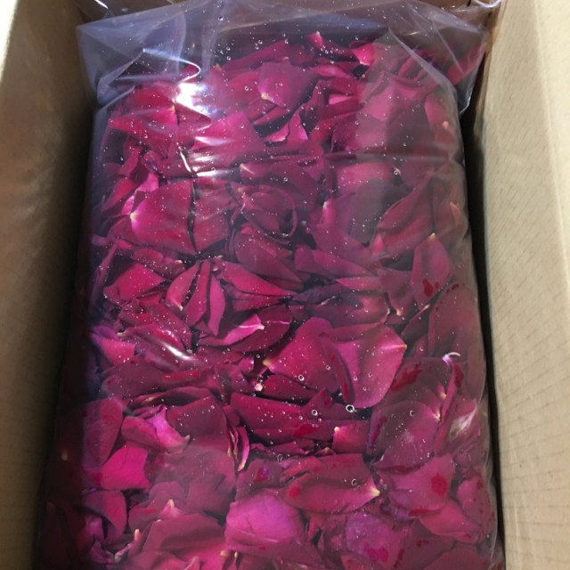自家蒸餾 屏東無毒玫瑰純露500ml 純天然100%無添加 香甜荔枝味